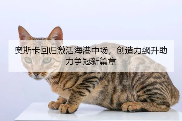 ao-si-ka-hui-gui-ji-huo-hai-gang-zhong-chang-chuang-zao-li-biao-sheng-zhu-li-zheng-guan-xin-pian-zhang-2-219.jpg