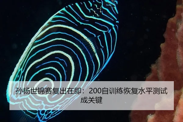 孙杨世锦赛复出在即：200自训练恢复水平测试成关键